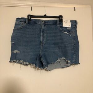 Abercrombie And Fitch Curve Love The Mom Jean Shorts